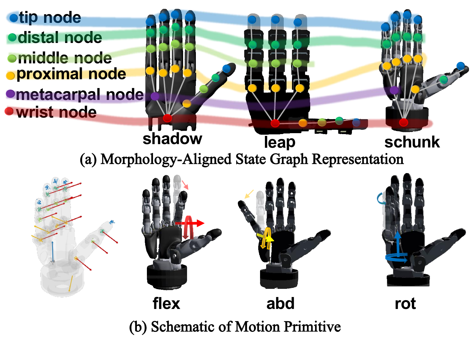 Universal hand representation